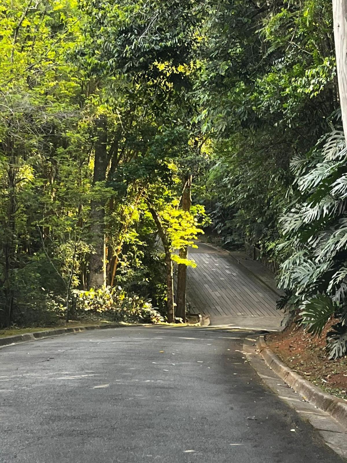 Petrópolis Maravilhoso Studio - Granja Brasil Itaipava מראה חיצוני תמונה